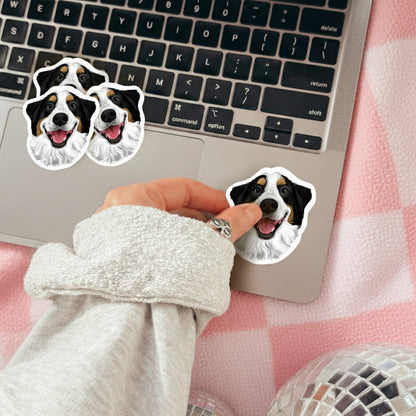 Custom Pet Stickers