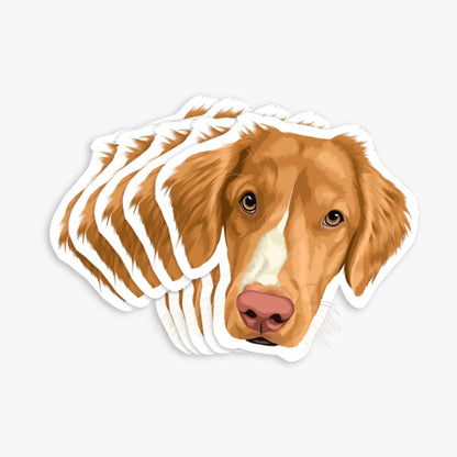 Custom Pet Stickers