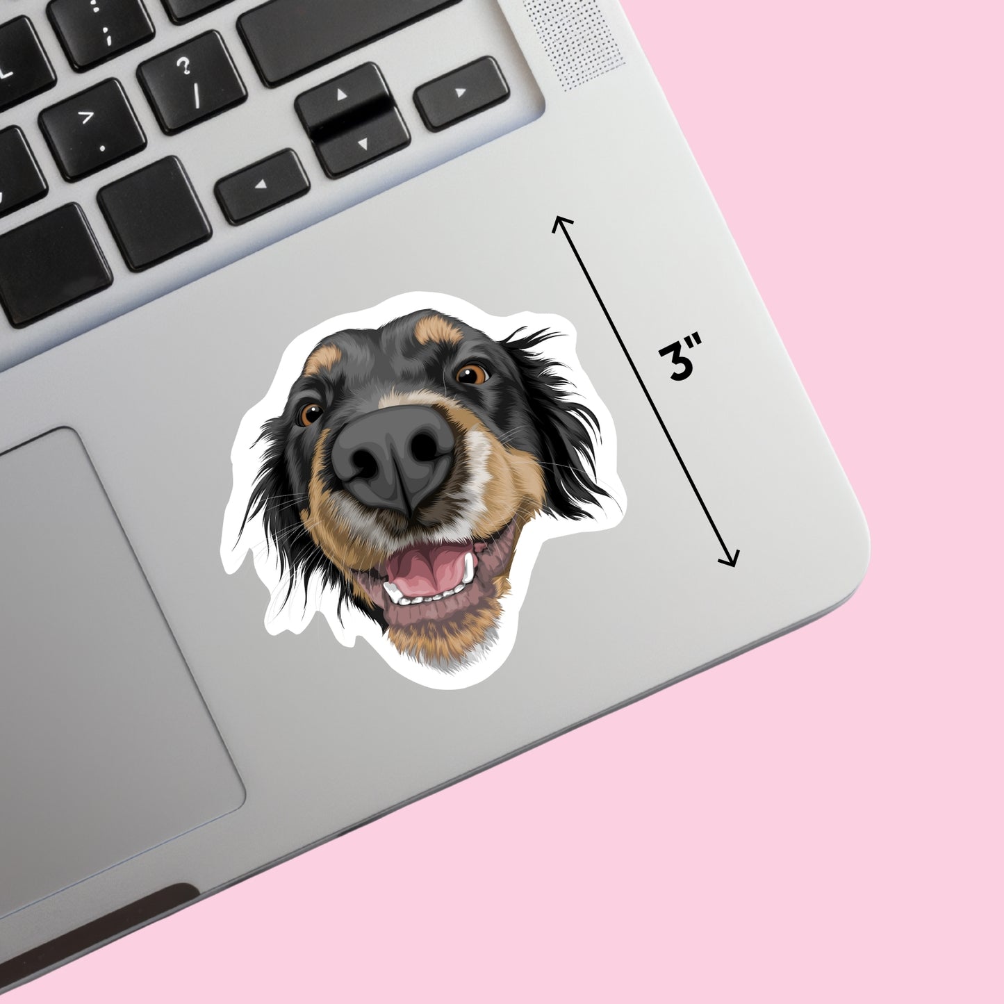 Custom Pet Stickers