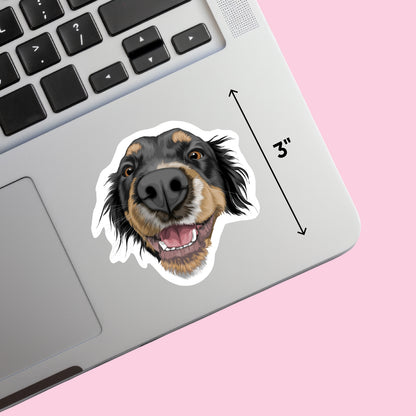 Custom Pet Stickers
